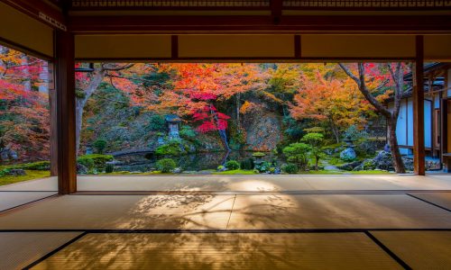 郡上八幡の慈恩禅寺の莖草園