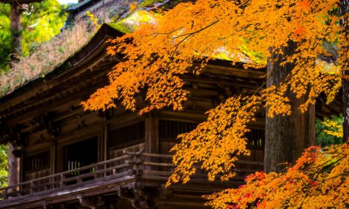 美濃市の洲原神社の紅葉