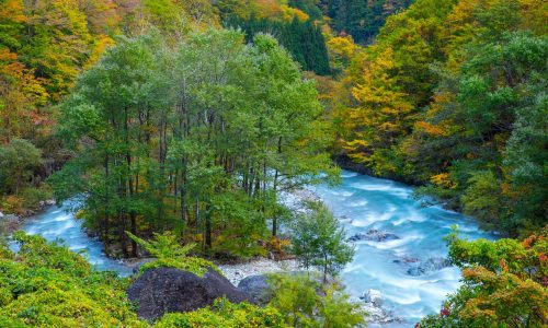 白川村の景色