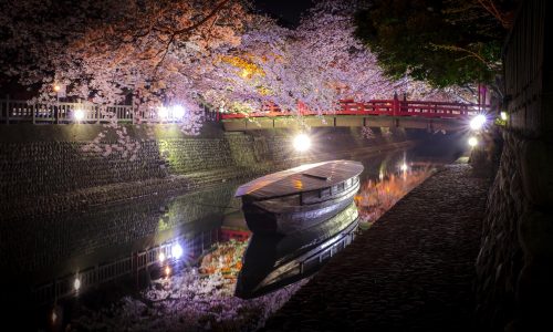 大垣市の水門川のライトアップ