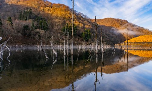 揖斐郡揖斐川町の徳山ダム湖