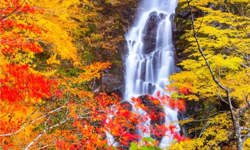 岐阜県飛騨市宮川町ニコイ大滝