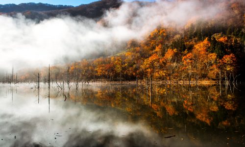 徳山ダム周辺の景色